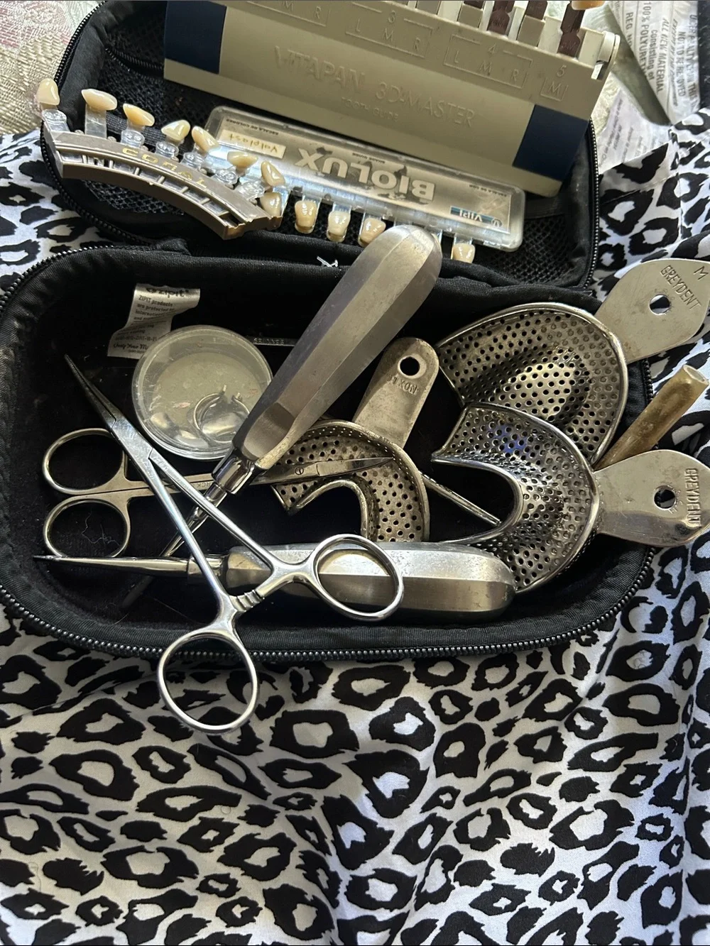 & Other Stories professional dental